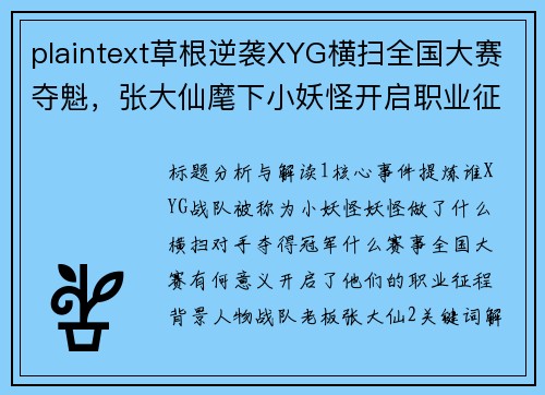 plaintext草根逆袭XYG横扫全国大赛夺魁，张大仙麾下小妖怪开启职业征程